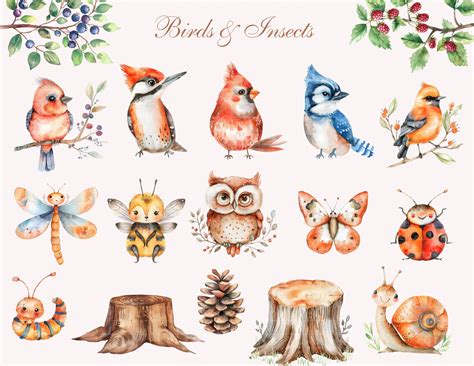 Forest Animals Clipart Cute Woodland Animals Watercolor Clipart