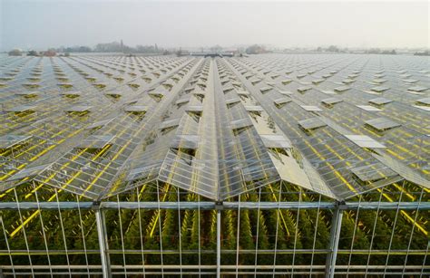 Greenhouse Farming