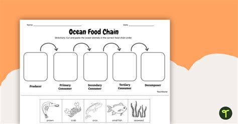 Ocean Food Chain - Cut and Paste Worksheet | Teach Starter