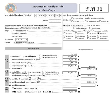 การสง ภพ 30 จะตรวจสอบรายงานและนำสงไดอยางไร