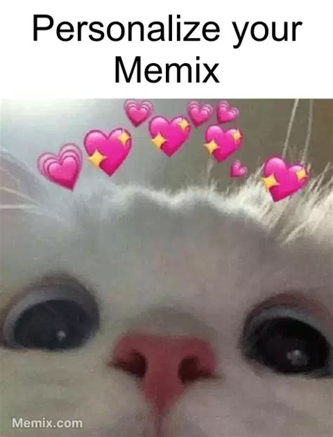 Cat Heart Eyes Meme, GIF - Share with Memix