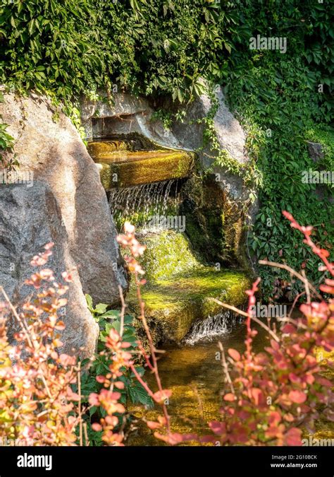 View Through Red Bushes Over Waterfall Fountain Amidst Crawling