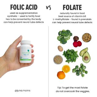 The Significance of Folic Acid during Pregnancy - DishWithDina