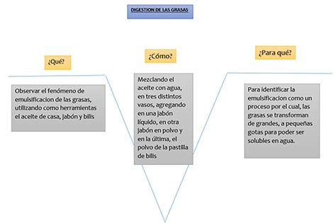 Cuaderno de paqui Biología 3 W de Gowin práctica 3