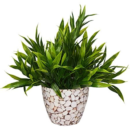 Buy Fancy Mart Artificial Bamboo With Pot Green 1 Piece Online At