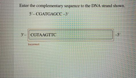 Solved Enter the complementary sequence to the DNA strand | Chegg.com