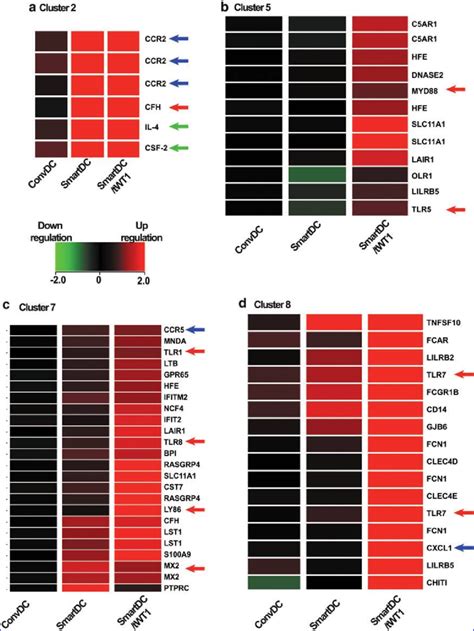 Gene Array Analyses Heat Maps Depicting Clusters Obtained Through