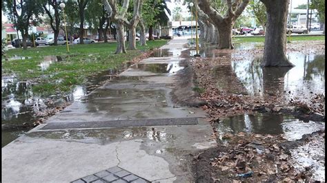 Se Les Fue La Mano Con El Riego Una De Las Principales Plazas De La