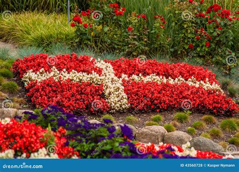 Danish Flag Made Out Of Flowers Stock Photo Image 43560728