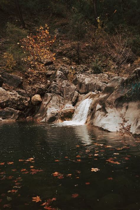 Waterfall Falling into River · Free Stock Photo