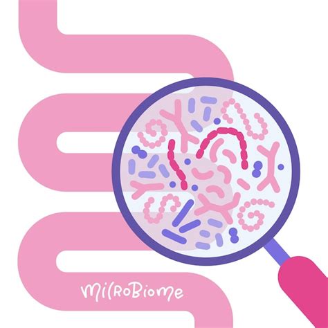 Intestino Humano Abstracto Y Concepto De Microbioma Intestinal De Lupa