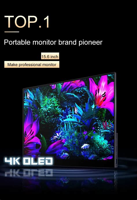 15,6 дюймовый OLED 4K UHD сенсорный портативный монитор с Type-C HDMI ...