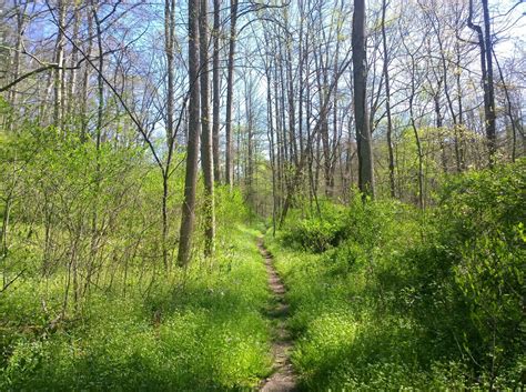 Jackson, OH Vacation Rentals: house rentals & more | Vrbo