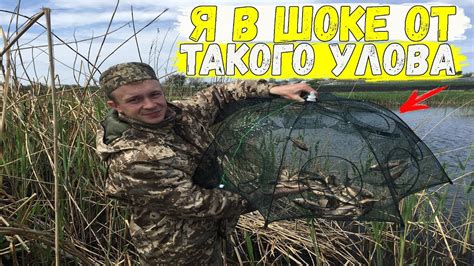 Ловушка для рыбы / Ловля рыбы на раколовку - YouTube