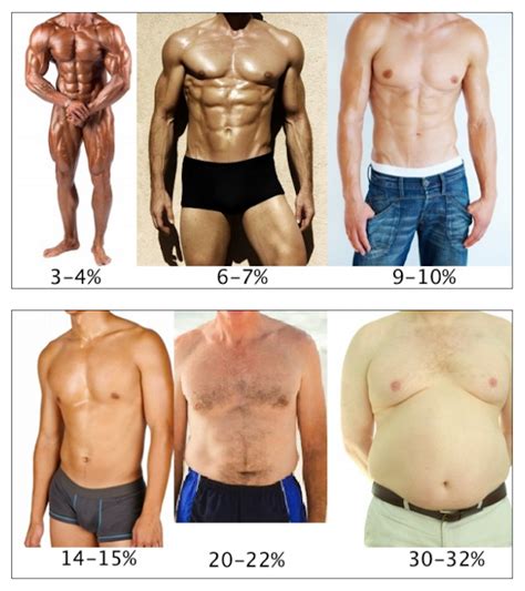 TAREA Parceritos Aprende Como Calcular Y Postea Tu De Grasa Corporal