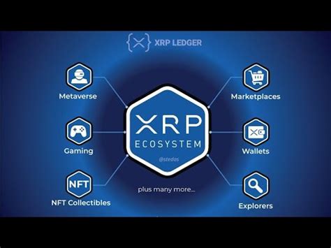 THE ULTIMATE XRP VALIDATION VIDEO YouTube