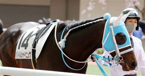 2024 1 31（水）競馬予想結果｜jra・競馬予想