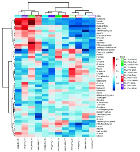 Heatmap And Hierarchical Clustering Analysis Based On The Euclidian Download Scientific