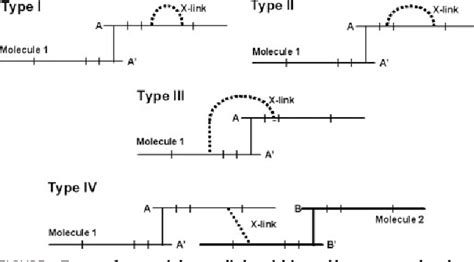 Figure 3 from The Structure of Apolipoprotein A-II in Discoidal High ...