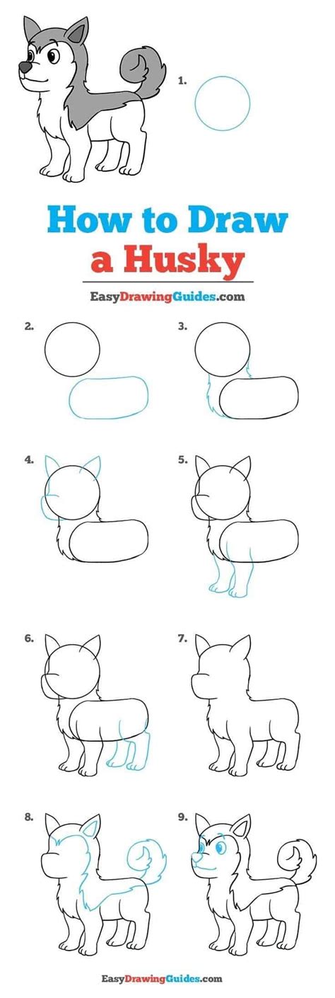 How To Draw Cartoon Animals Step By Step