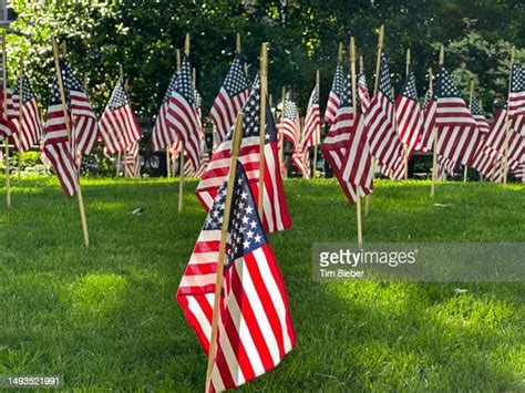 78 New York Colony Flag Stock Photos, High-Res Pictures, and Images ...