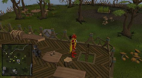 Grand Tree, The - RuneScape Guide - RuneHQ