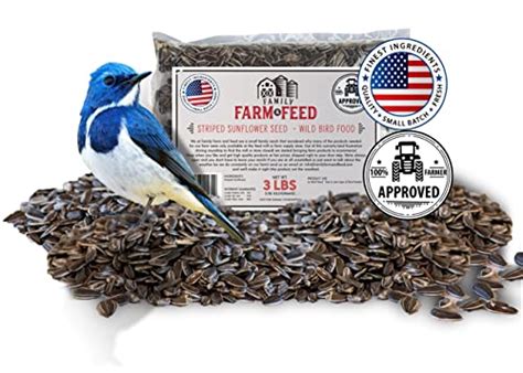 Amazon Sunflower Seeds For Birds 2024 - Vet Ranch - We Love Pets