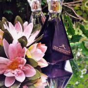 True Reflection Kim Kardashian perfume - a fragrance for women 2012