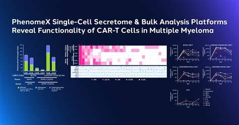 Published In Blood Unlocking The Potential Of Cd R Cd Switch For