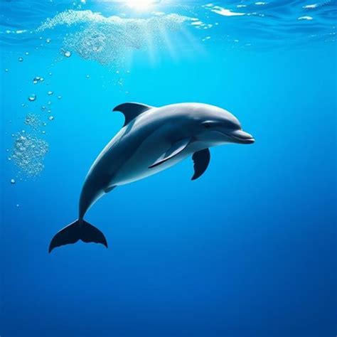 Animal Symbolism of Intelligence: Symbols of Wisdom