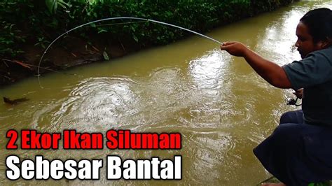 Mancing Dua Ekor Ikan Siluman Segede Bantal Penunggu Sungai Angker