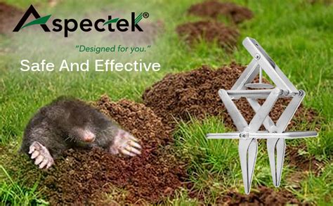 Aspectek Mole Trap Effective And Easy To Use Solution