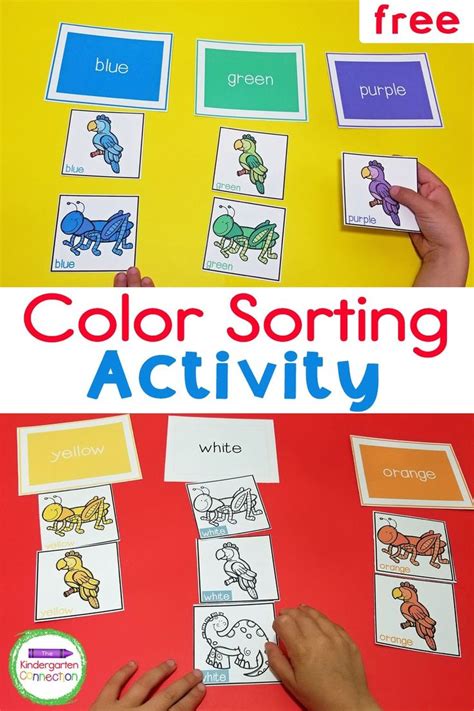 Printable Color Sorting Activity | Color sorting activities, Sorting ...