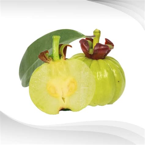 Garcinia Extract Powder 60% HCA (Water Soluble)