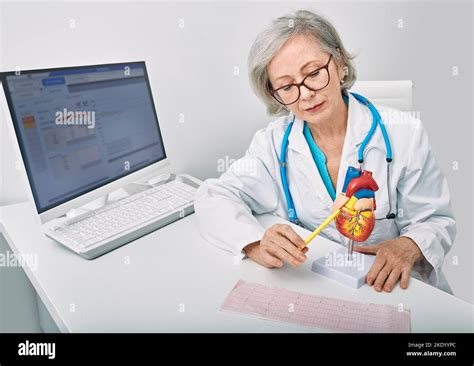 Female Cardiologist Showing Anatomical Model Of Human Heart During