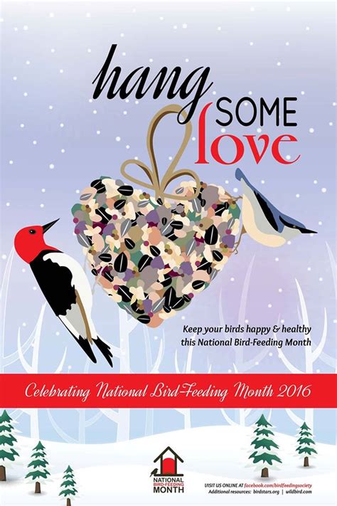 Do you know why February is National Bird-Feeding Month? - Happy ...