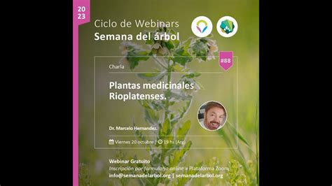 #88 Plantas medicinales Rioplatenses - YouTube