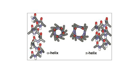 Trapping A Folding Intermediate Of The Helix Stabilization Of The