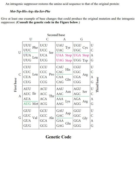Solved Section A (Multiple Choice) 1. Mutations: A) Are | Chegg.com