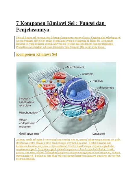 Fungsi Dan Komposisi Komponen Kimiawi Penyusun Sel Pdf