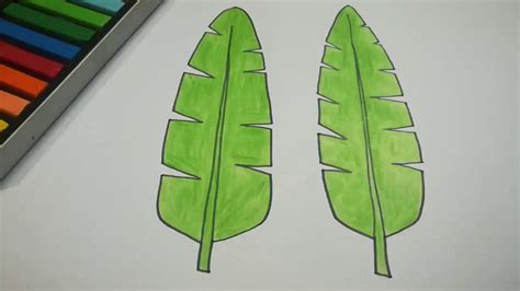 Banana Leaves Drawing Banana Leaves Sketch