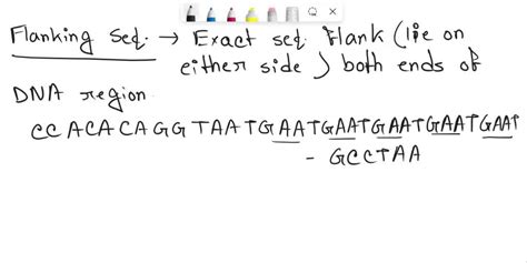 SOLVED Identify The Flanking Sequences And The Number Of Repeat Units