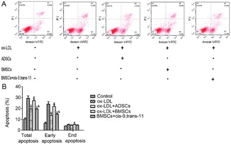 Adscs Bmscs And Bmscs Cis Trans Attenuated Ox Ldl Induced