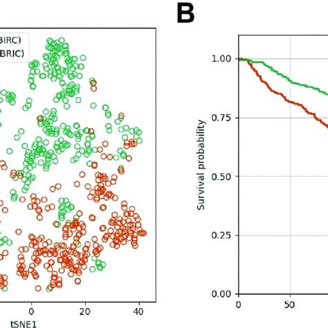 The T Sne T Distributed Stochastic Neighbor Embedding Plot Of