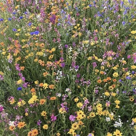 Tyler The Gay Cousin Lover On Tumblr