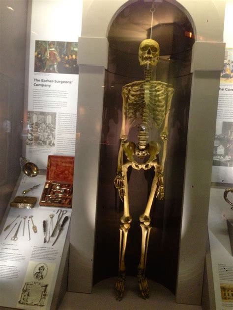 Hunterian Museum - London