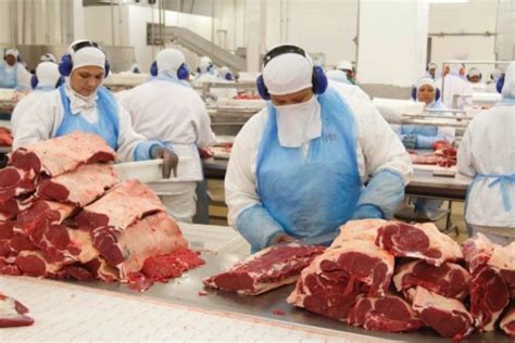 Carne Bovina Brasileira Poder360