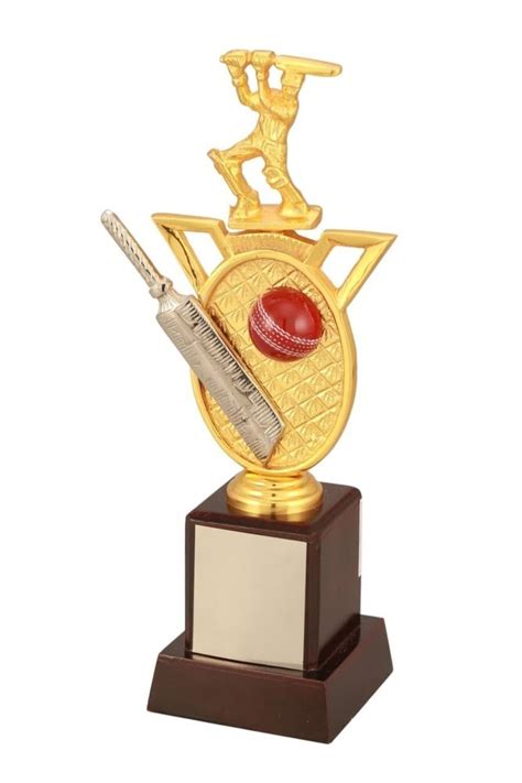 Golden Brown No Brass Cricket Trophy Shape Rectangular At Rs