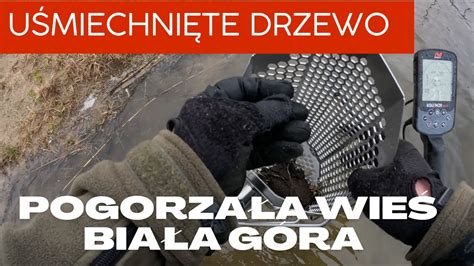 Uśmiechnięte Drzewo Pogorzała Wieś Biała Góra poszukiwania i