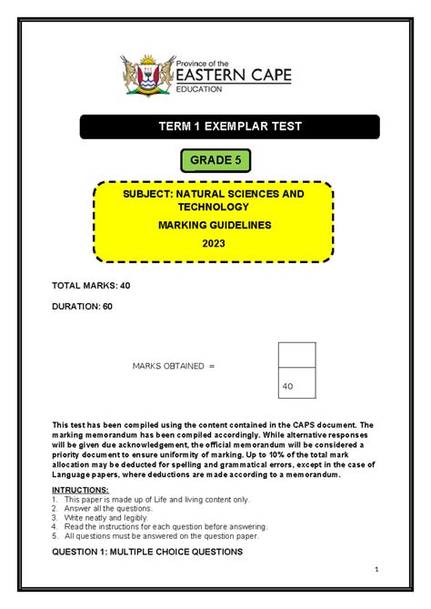 2022 Nstech Grade 5 March TEST Marking Guidelines - TOTAL MARKS: 40